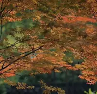 一年學(xué)說(shuō)話(huà)，一輩子學(xué)閉嘴，有些人自己看清就行，沒(méi)必要故意拆穿，有些事自己心里明白就好，也沒(méi)必要四處宣揚(yáng)。配圖