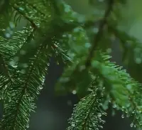 人生在不同的階段，能感悟到的不同認(rèn)知，會影響他認(rèn)為什么東西“更”重要。比較是一個復(fù)雜認(rèn)知體系下的數(shù)據(jù)建模，越往高處走，得到的數(shù)據(jù)越精準(zhǔn)配圖