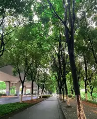 每個年齡段 ，認知跟心態是不一樣的 ，所以別說自己什么都懂 ，我相信你們都懂 ，但看不開 ，遇事也不會輕易釋懷得 ，懂跟經歷過不一樣的 ，也就是稱為 ，嘴硬！配圖