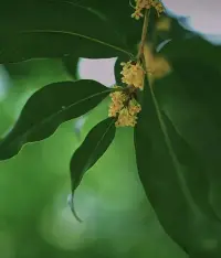 允許別人做別人，允許自己做自己。不要強(qiáng)行要求身邊人按自己的想法走路，放過別人也放過自己。配圖
