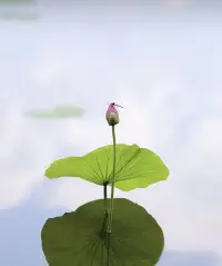 價(jià)值感，穩(wěn)定性，指責(zé)和批評(píng)都是破壞性的，我們內(nèi)心深處都希望被認(rèn)同，隱秘的優(yōu)點(diǎn)被指出來(lái)，越是有被讀懂的感覺(jué)，配圖