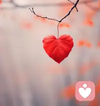 人生三大幸事：虛驚一場，久別重逢，失而復(fù)得配圖