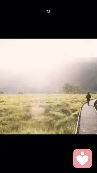 當你發現不是自己的問題，而是環境的問題。改變不了環境，身體又有應激反應，那就換個環境配圖