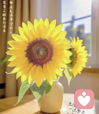 兩個人相處是相互的！沒有一定誰哄誰，只要有回應，能感受到對方的愛就可以。不要太計較。很多事，你放下了，一切就順了。有得就有失，關鍵是你選了就要自己去承擔責任。配圖