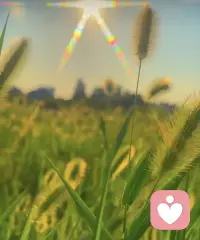 “不能接受就改變，改變不了就離開”個人看來更像妥協和逃避，“少問別人為什么，多問自己憑什么”有時可能是別人的問題，這樣勸在自己身上找問題的話，會讓自己更加抑郁配圖