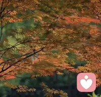 我覺得情緒穩(wěn)定最多重要一個點就是，永遠不要自責(zé) ，多看看自己的優(yōu)點，凡事往好處想。配圖