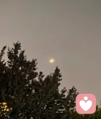 離婚這事就是權(quán)衡利弊，能離掉的都是覺得一個人能過得更好的，離不掉的都是自己沒能力獨自過得好的。委曲求全，有所求才愿意委屈著過。配圖