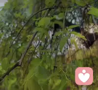 好的婚姻，就是我從不想依靠誰，但總有人可依靠；從不期待什么，可時不時會有驚喜；可以自己很高興，也可以因他人也開心；自己也會有煩惱，但彼此的煩惱可以互訴。配圖