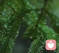 年輕時(shí)那些注定沒結(jié)果但卻真心愛著的時(shí)刻才是最重要的。曾經(jīng)擁有過就值得了。配圖