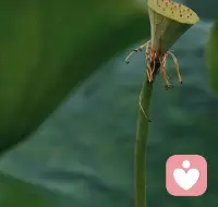 兩個相通的心就會感覺有無法用語言表達的甜蜜，好像無形中倆人有曾相處一樣，好像很了解彼此的心意配圖