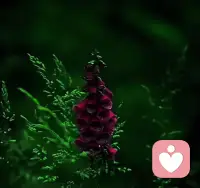 上班可以填滿空閑的時間，讓每天變得充實，其實錯了。上班就是掙錢，掙錢。不能也不值得過分追求精神上的價值。配圖