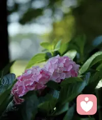 傷你最深的人，都是身邊你在乎的人。因為在乎所以認真。奉勸各位朋友，在關系中，越依賴越容易失去。越獨立越擁有！配圖