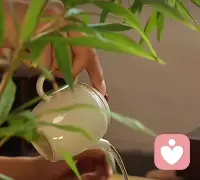 任何人對情感都有需求，只是有些人更能從容面對，很清楚取舍和如何相處！配圖