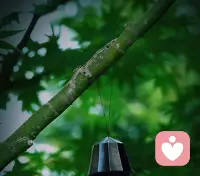 活在過去代表經(jīng)歷，活在當下代表滿足，活在未來代表希望，不管什么狀態(tài)，都是活生生的我們?yōu)榱俗约旱娜松钪鋱D