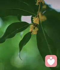 婚姻最壞的結局并不是離婚，而是兩個人沒有了任何感情，還要為了各種原因，隱忍下去，做著相看兩相厭的假面夫妻。配圖