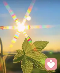 很多人的壞是不自知的，因為他本身的那些給別人帶來痛苦的行為都是基于恐懼，恐懼充滿了一個匱乏的靈魂，恐懼也支配著所有的行為配圖