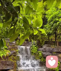 不要老盯著對方的缺點，會無意識地放大加以控制。學會接納對方，多提升自己關注自己，這樣愛情才長遠配圖