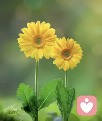 婚姻最壞的結(jié)局不是離婚，而是兩個人沒有了任何感情，還要為了各種原因隱忍下去，做著兩看相厭的夫妻，在煎熬中消耗自己的年華配圖