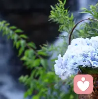 只是我們都以為婚姻就可以逃避需要獨立而已。總將自己的幸福與不幸福推托到另一半，所以大家都對彼此有期望，后來發(fā)現(xiàn)，彼此的期望都是建立在互相的依賴當中，所以失望就來了哈配圖