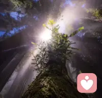 堅持的過程中允許自己偶爾的停頓和修整，不要陷入對自己追求完美的苛責中，好事會在堅持中發生，讓堅持成為習慣，成為自然。配圖