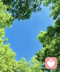 楊絳先生曾寫道：

“不用每天纏綿，隨時保持聯系，我知道你不會走，你知道我不會變?！毕嗷サ胗?，各自忙碌，開心的時候有人分享，難過的時候有人陪伴，有話直說，有事明說，相處時不用防備，聊天時毫無顧忌，這大概就是最好的感情。配圖