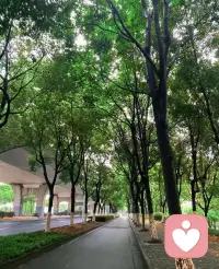 一個(gè)懂字，說起來很簡(jiǎn)單，做起來很難，懂是一座心靈橋梁，是一種理解，是一種體諒，這一生被自己喜歡的人懂是幸運(yùn)的，是幸福的配圖