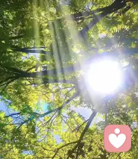 在情感中問題從來都不是一個人的事情，一個好的伴侶會陪你一起解決心理創傷，慢慢溝通成長，陪伴你逐漸進步，所以遇上了就要好好的珍惜！配圖