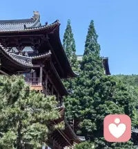 人要鉚足力氣，往前走。就一定會有新的東西在前面，甚至比錯過懊悔的還要好一萬倍的東西。不要總想著去留住那些正在消散的，或者沉溺在已經失去的配圖