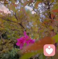 命運最好的解釋就是：
當你面對一件事情時，按照你過往的性格和邏輯，會做出的行為，這個就是命。                                        如果事情發生的時候，你做出的行力，不符合自己過往的性格習慣，有了很大的偏差這個就叫運。所以，運是改變，命是定數。配圖