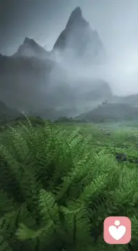 很多心理咨詢的理論和目標其實跟中國傳統(tǒng)文化蠻契合的，比如正念，人本主義和中國的天人合一，只是跟社會主流文化不支持這些。西方社會是個人主義，心理學本身也是關(guān)注個人心理從而促進社會的公平正義，但中國人偏集體主義，不強調(diào)個人體驗。我覺得心理學一定程度上可以支持自我意識不足的人發(fā)展自我，還是有幫助的！配圖