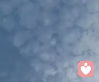 人生是一場歷程，去經(jīng)歷，去感受，去勇敢愛，不要害怕受傷，也不要害怕跌倒。配圖