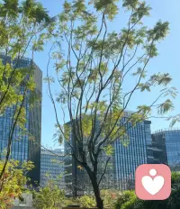 松弛感就是你內心能容納很多種狀態和結果，不擰巴不內耗不做作，不爭不搶，不卑不亢、也不用力過猛。簡單來說，只做好想做的事情和該做的事，對結果沒有什么執念，內心清澈，平靜松弛，不是懶散享樂，不是躺平擺爛，不是什么都不在乎，而是盡力之后對結果的隨遇而安，是無所畏懼，活出自在心安，是堅持自己的本心。配圖