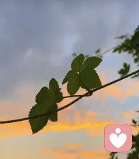 不在意外界的評價，做自己的事情。他們是為了鍛煉我而存在。我不需要去迎合任何人，任何人對我的批評只是為了讓我更強大配圖