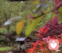 做任何的事情都要用最好的狀態(tài)去做，想過(guò)最壞的但是會(huì)盡自己最大努力去做，任何事都不會(huì)讓自己內(nèi)耗，因?yàn)槿魏问露寄芙邮芙Y(jié)果，心態(tài)會(huì)很穩(wěn)。配圖