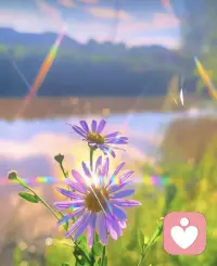 心里面的委屈，傷心，憤怒的情緒，都是在告訴你對方這個時候已經傷害到你了，所以要調整自己的狀態，因為在意才會這樣，什么時候，能對這個事和人有可有可無的態度。那么你就免疫了！配圖