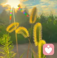 年輕的時候，愛一個人，沉浸在自己的世界，認為愛的轟烈，愛的驚天動地，最后只感動自己，殊不知他要的只是一個香蕉，而你送了一箱的蘋果配圖