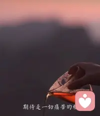 外界的評價和壓力常常讓我們迷失方向，只有我們自己能決定自己的道路。就像攀登山峰，每一步都是向上的，不管多高，只要不放棄，就能登頂。配圖