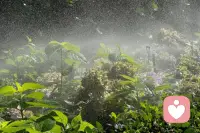 心態是一個人最好的風水，刻意練習對于調整心態，有著關鍵的作用，所以平時要給自己多一點正面的暗示，時間長了，你會發現不一樣的自己！配圖