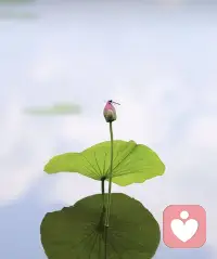 生命短暫，韶華易逝，澤其所愛，愛其所擇，善待好自己，既往不咎，未來不迎配圖