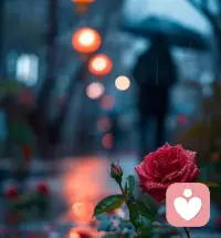 那些不喜歡你，甚至傷害你的人，也把他從你的生命中抹去，從此再不相逢。穩定才是我目前最想要的， 情緒穩定，關系穩定， 生活穩定 ，一切穩定。善待好自己配圖