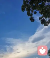 人不耗盡自己最后的一絲愛意都是舍不得說再見的，每個人都有自己的南墻要撞，愛也不可能單憑幾次心碎就喊停，任何一段感情都不可能無緣無故的結束，每一個決定轉身的人，都曾在風中站了很久很久，當失望和委屈積攢夠的時候，自己就會放手配圖