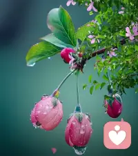 始于顏值，忠于人品，陷于才華。有些戀愛可能會(huì)因?yàn)闃用采聿亩粚?duì)方吸引，但是越深入了解對(duì)方越發(fā)現(xiàn)對(duì)方的性格、品質(zhì)和自己的預(yù)期不一樣，那么就會(huì)陷入迷茫。配圖