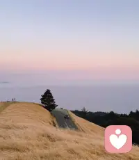 世界上大部分的疾病呢，都和情緒相關，焦慮的人都是太要強，抑郁的人呢，往往都是對過去的事情耿耿于懷，失眠的人經常操心，結節和乳腺往往都是經常生氣而導致的。今天得的病不是突然的，而是日積月累慢慢形成的。配圖