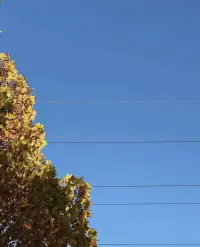 如果改變不了對方，可以改變自己呀，就好比如我們自身都會被優(yōu)秀的人所影響所帶動(dòng)。有些人我們改變不了他，但是我們可以影響到他配圖