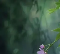 发现自己的好与不好，取长补短，成就更好的自己，每个人的出现其实都是渡我们的人，我们不能只看到坏，要在这段感情里学会成长，[害羞R]配图