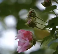 很多时候我们谈恋爱，爱上那个刻骨铭心的人，其实不是他，而是被照亮被看清的那个温暖又美好的自己，他作为一个幻想出来的完美贴切自己需求的人，也仅仅来源于我们的想像。配图