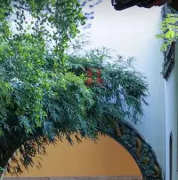 选择的真的很重要  千万不要为了所谓的世俗  选择一个不合适的人走入婚姻配图