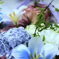 看过世界的人不一定心怀广阔，而内心广阔的人内心有自己的世界。配图