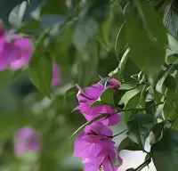 被自动驾驶确实很轻松，可以看到外面的风景，但是不知道要到哪里去了，所以更多的时候面对事情要有一个理智的头脑配图