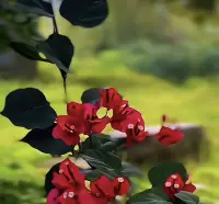 阅读和运动属于普通人的救赎！读书的目的，不在于取得多大成就，而在于，当你被生活打回原形，陷入泥潭时，给你一种内在的力量。配图